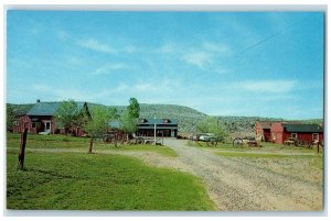 c1960 Yankee Trader Antique Shop Harold Geraldine Andrews Carson Nevada Postcard