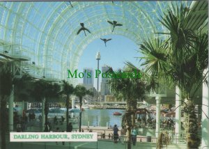 Australia Postcard - Sydney - View From Darling Harbour To The City RRR1304