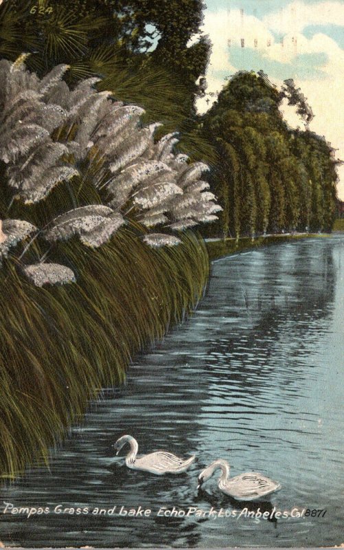 California Los Angeles Echo Park White Swans Pampas Grass and Lake 1926