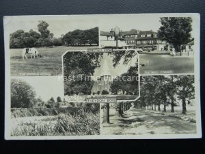 Essex THEYDON BOIS 5 Image Multiview c1950's RP Postcard by Frith