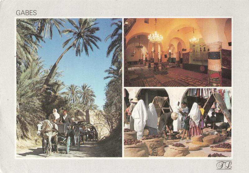 Tunisia Gabes the palm plantation market place mausoleum of Sidi Boulbaba