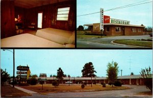 Vtg Bamberg South Carolina SC Holiday Motel and Restaurant Postcard