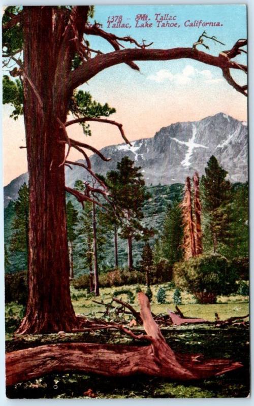 MT. TALLAC, LAKE TAHOE, California CA   SNOW CROSS on Mt. Tallac 1913 Postcard