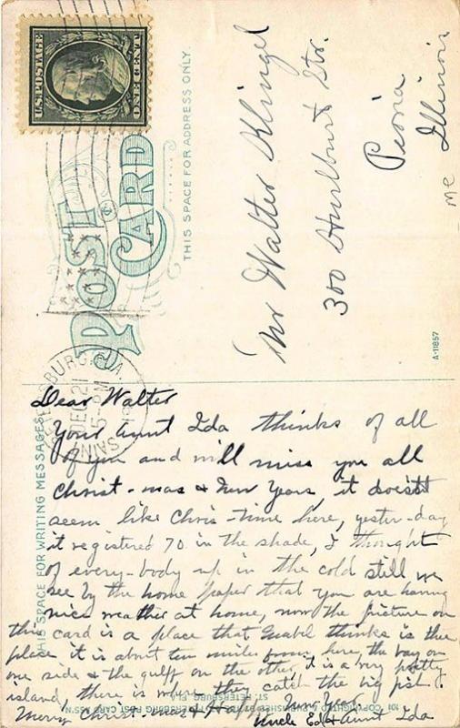 Passe-a-Grille FL Flowing Well Buildings Postcard