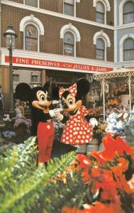 CA, California DISNEYLAND AMUSEMENT PARK Mickey~Minnie~Flower Stand  Postcard