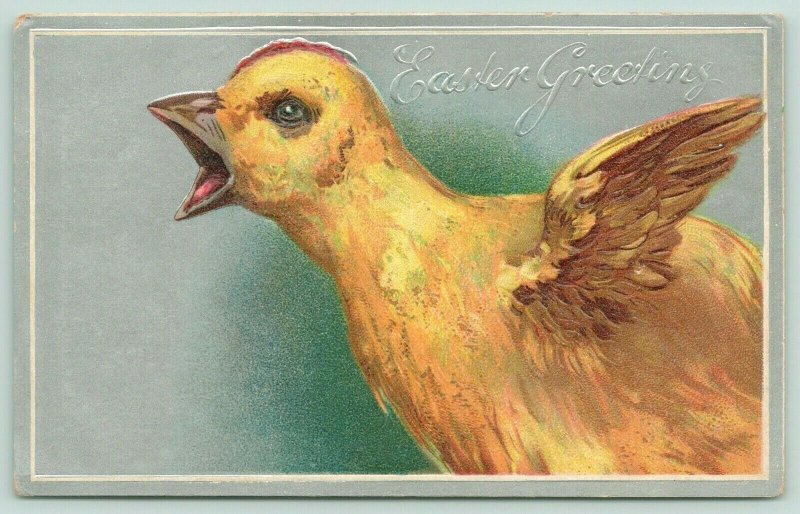 Easter~Close Up Squawking Crowing Rooster Chick~Silver Back Embossed~Germany 