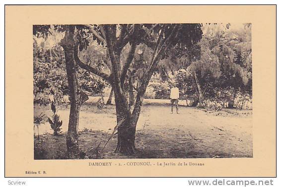 Le Jardin De La Douane, Cotonou, Dahomey, Africa, 1900-1910s