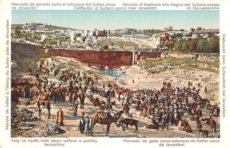 Jerusalem Israel Sultans Pond Cattle Fair Antique Postcard J46697