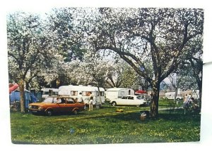 Camping Du Chateau Bertangles Somme Postcard