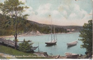 HALIFAX , Nova Scotia , Canada , 1908 ; Pilot Boats at anchor , Purcell's Cove