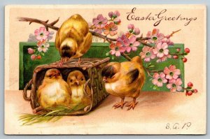 1909  Easter Greetings  Embossed  Postcard