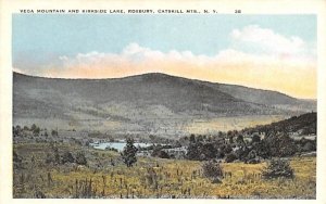 Vega Mountain & Kirkside Lake in Roxbury, New York