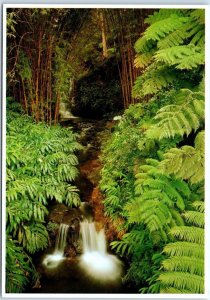 Postcard - Island of Hawaii Scene In Akaka Falls State Park - Hawaii