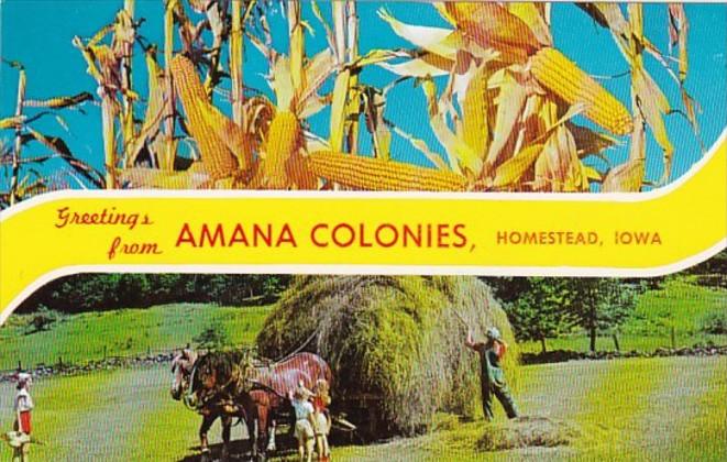 Iowa Amana Greetings From Amana Colonies