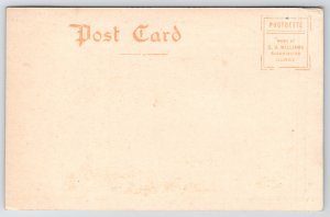 Frankfort Indiana~Carnegie Public Library~Faux Balcony c1910 CU Williams Bluesky