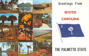 Greetings From South Carolina The Palmetto State ca 1960s Vintage Postcard