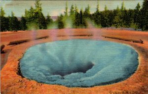 Morning Glory Pool,Yellowstone National Park BIN