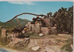 BF22893 mallorca noria tipica  spain front/back image