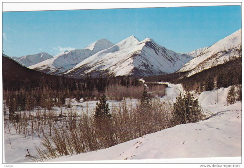 West Castle Ski Resort, Mountains, PINCER CREEK, Alberta, Canada, 40-60's