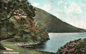 Vintage Postcard Glena Bay Mountain in Distance Trails Pathway Killarney Ireland