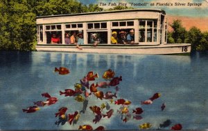 Florida Silver Springs Glass Bottom Boat The Fish Play Football 1954 Curteich