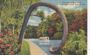 Florida Silver Springs The Horse Shoe Palm 1953 Curteich