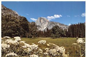 Yosemite Valley and Half Dome - Yosemite National Park, California