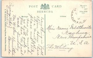 PAGET, BERMUDA  Hunt Meet at Mr. W.T. James Residence  Horses/Riders  Postcard