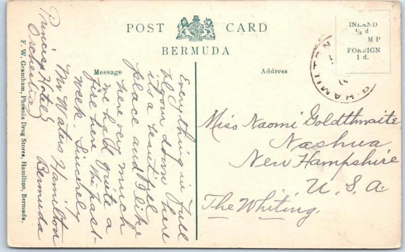 PAGET, BERMUDA  Hunt Meet at Mr. W.T. James Residence  Horses/Riders  Postcard