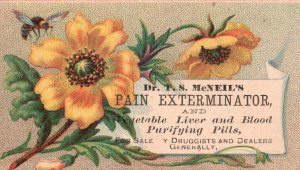 1880s-90s McNeil's Pain Exterminator Harrisburg PA Flowers Bee Trade Card