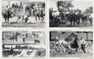 WESTERN   Cowboy /  STRYKER RODEO RELATED  (4) postcards