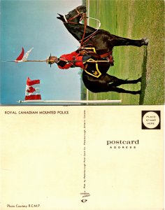 Royal Canadian Mounted Police(24586