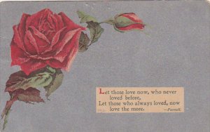 Red Roses For Love Parnell 1911