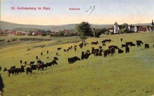 ab9207 - Postcards POSTCARD - GERMANY Germany - St. Andreasberg in the Harz-