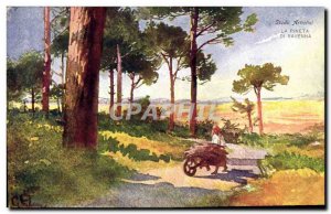 Old Postcard The Wheelbarrow Pineta di Ravenna