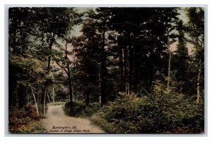 Path Through Ethan Allen Park Bennington Vermont VT UNP Unused DB Postcard U2