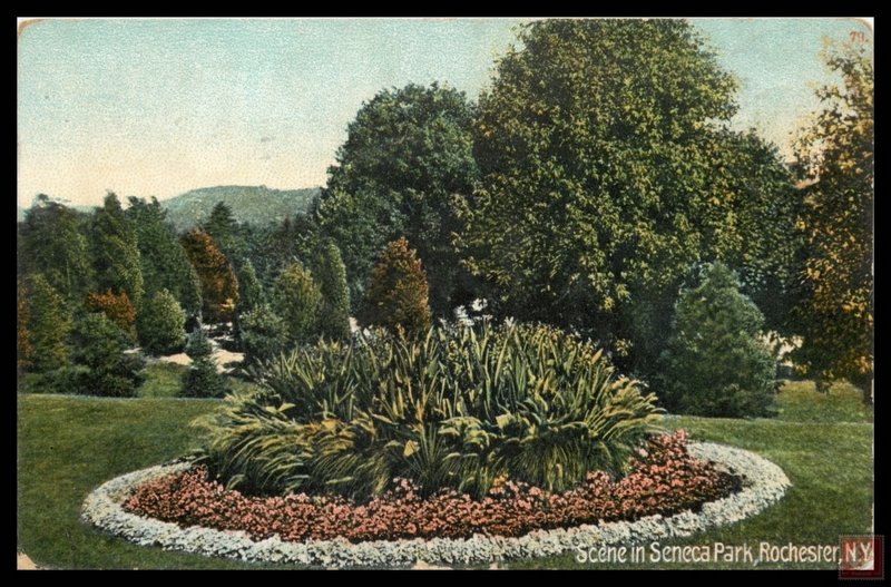 Scene in Seneca Park, Rochester, NY