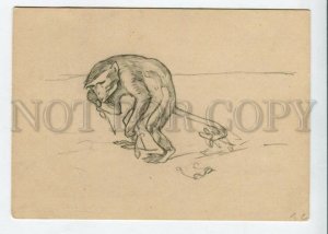 426915 USSR Krylov FABLE Monkey and glasses by SEROV artist 1927 year postcard