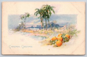 Holiday~Oranges Palms & Lake Christmas Greeting~Vintage Postcard
