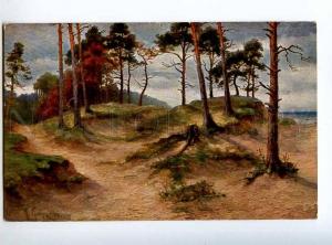 224492 RUSSIA K. KLEVER on dunes Granberg #2360 RIGA postcard