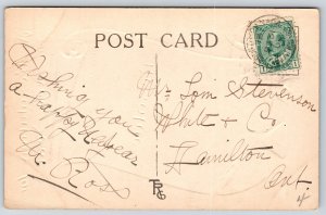 New Year Resolution Scroll~Past Intemperance~Will Pay Debts Sober Down~c1910