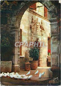 Postcard Modern White Doves of Saint Paul (Alpes Maritimes) The Riviera Mirac...