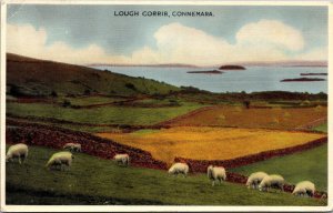 Lough Corrib Connemara Ireland Postcard PC104