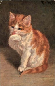 M. Stock Pretty Little Orange and White Kitty Cat Licking Paw c1910 Postcard
