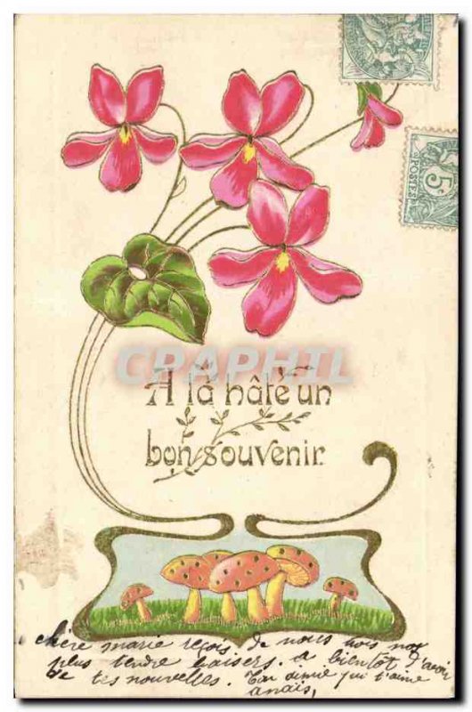 Old Postcard Fantasy Flowers Mushroom Mushrooms