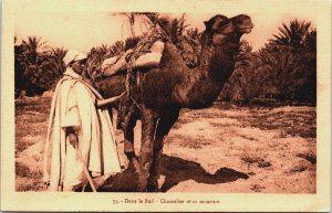 Algeria Dans le Sud Chamelier et sa monture Vintage Postcard C165