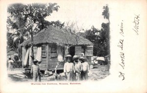 Nassau Bahamas Waiting for Coppers Vintage Postcard AA70527