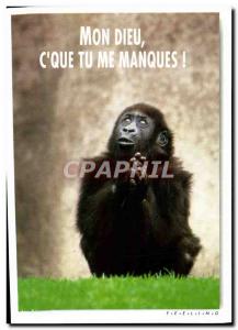 Modern Postcard My God & C # 39THROUGH Tu Manques Monkey