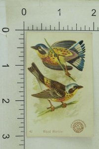 1880's Arm & Hammer Handsome Birds Black Wood Warbler Trade Card P133