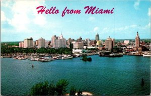 Florida Hello From Miami Showing Skyline